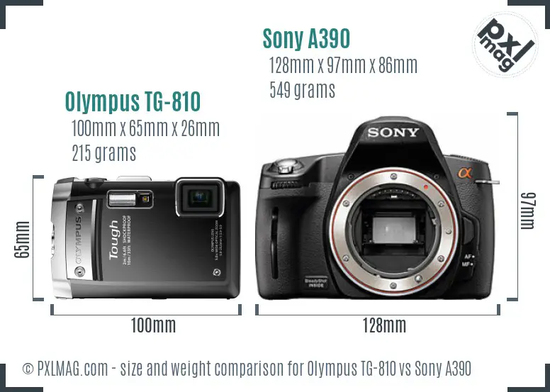 Olympus TG-810 vs Sony A390 size comparison