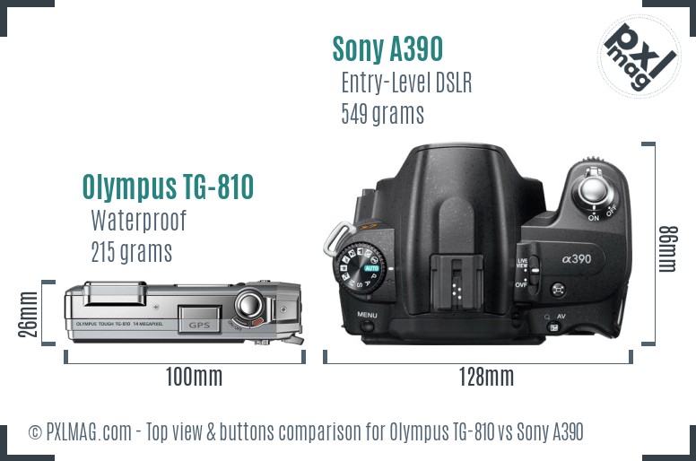 Olympus TG-810 vs Sony A390 top view buttons comparison