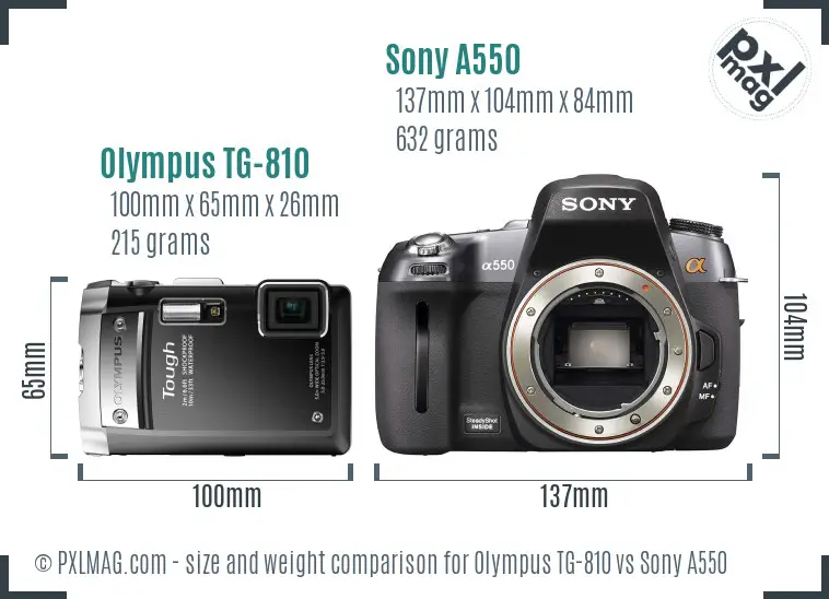 Olympus TG-810 vs Sony A550 size comparison
