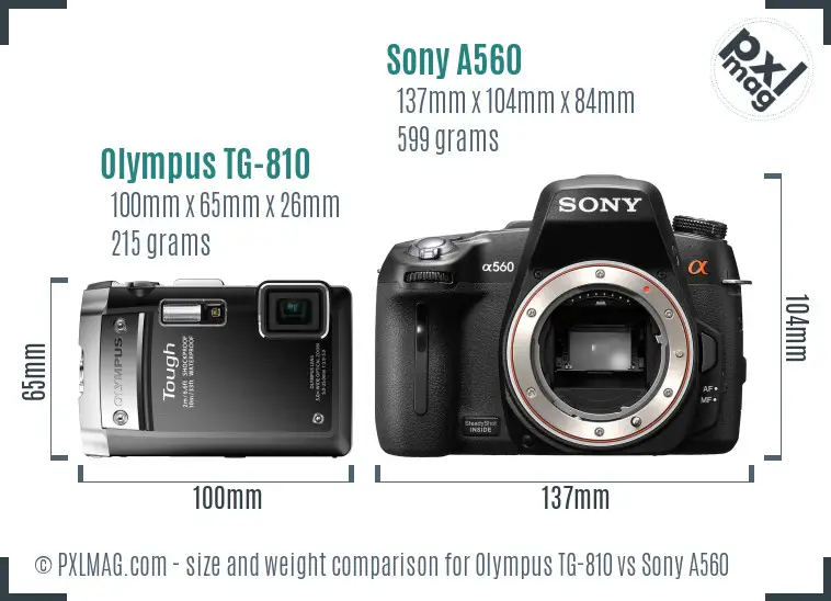 Olympus TG-810 vs Sony A560 size comparison