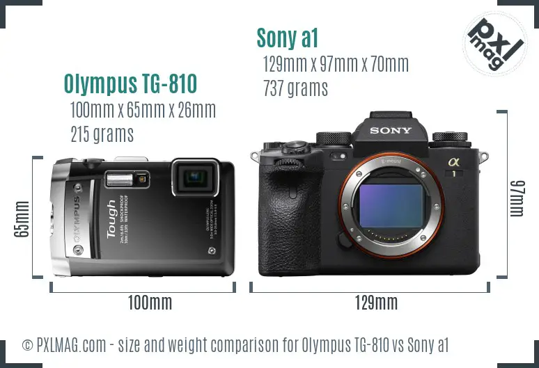 Olympus TG-810 vs Sony a1 size comparison