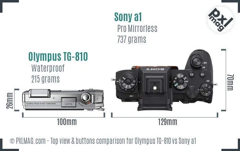 Olympus TG-810 vs Sony a1 top view buttons comparison