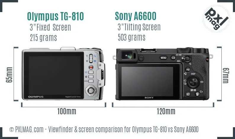 Olympus TG-810 vs Sony A6600 Screen and Viewfinder comparison