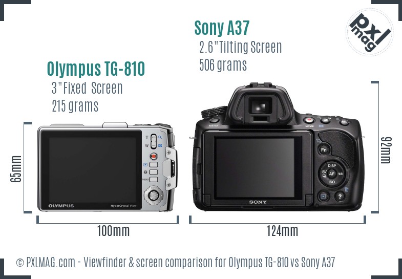 Olympus TG-810 vs Sony A37 Screen and Viewfinder comparison