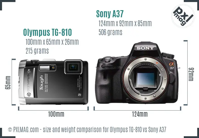 Olympus TG-810 vs Sony A37 size comparison
