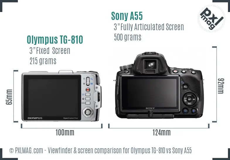 Olympus TG-810 vs Sony A55 Screen and Viewfinder comparison