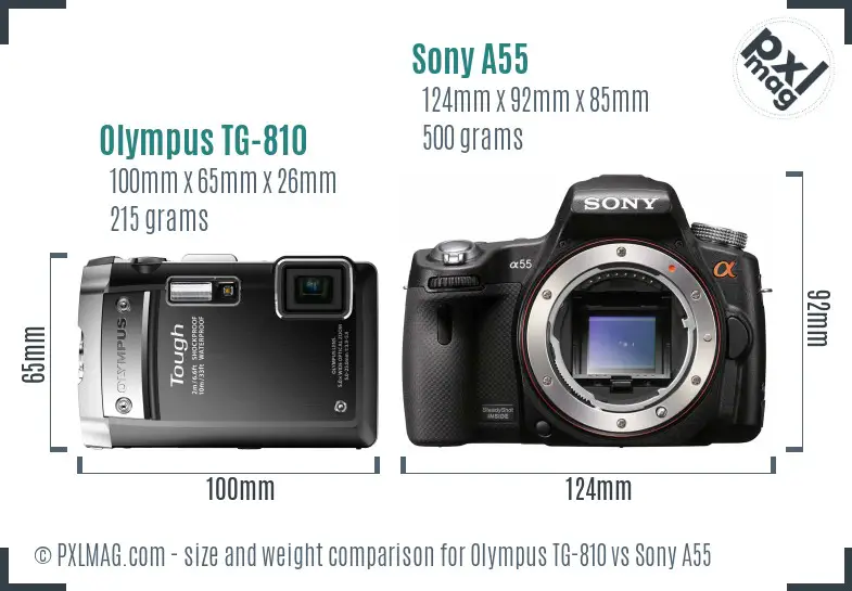 Olympus TG-810 vs Sony A55 size comparison