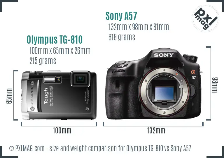 Olympus TG-810 vs Sony A57 size comparison
