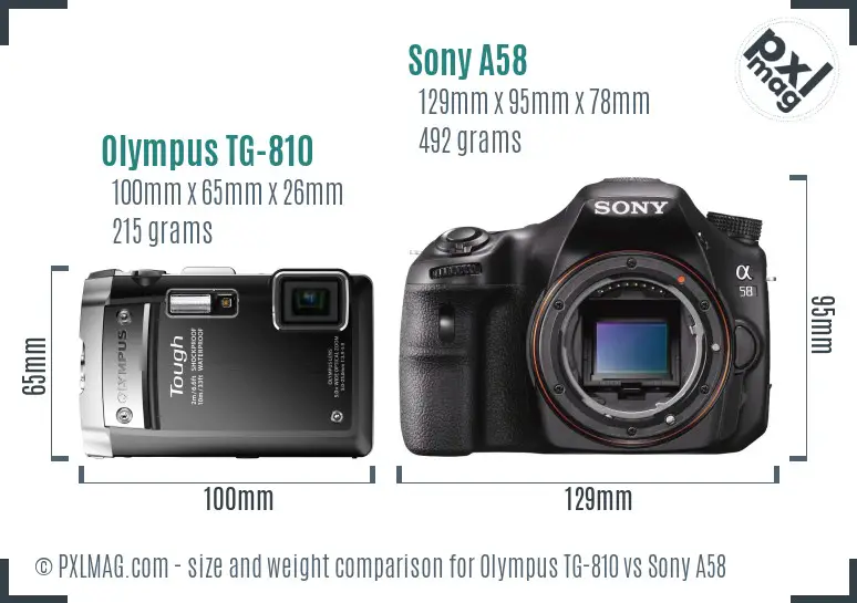 Olympus TG-810 vs Sony A58 size comparison