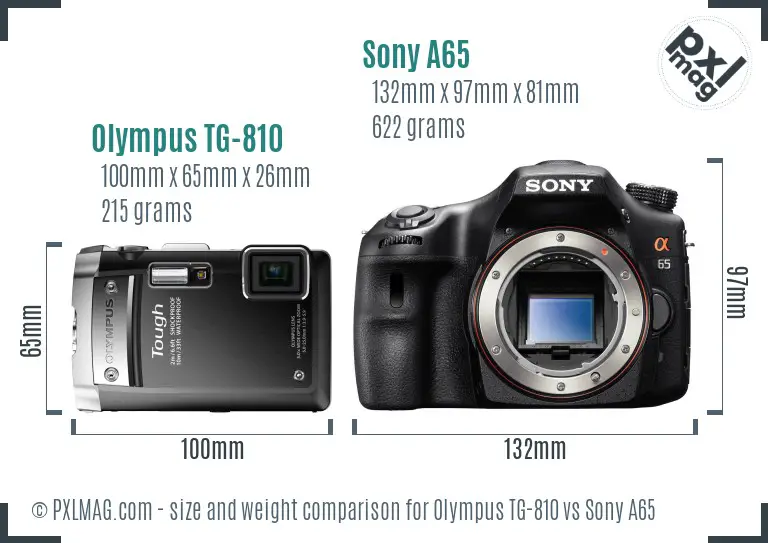 Olympus TG-810 vs Sony A65 size comparison