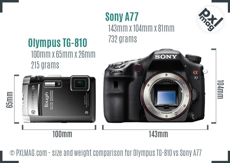 Olympus TG-810 vs Sony A77 size comparison