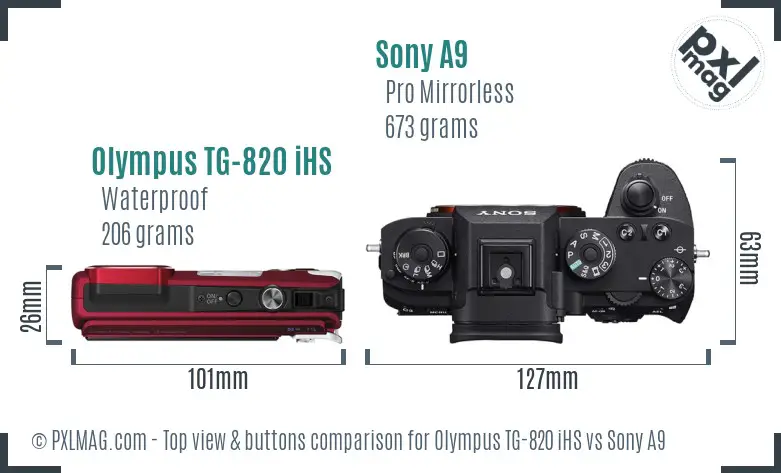 Olympus TG-820 iHS vs Sony A9 top view buttons comparison