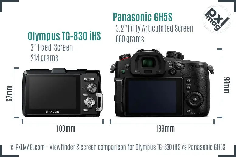 Olympus TG-830 iHS vs Panasonic GH5S Screen and Viewfinder comparison