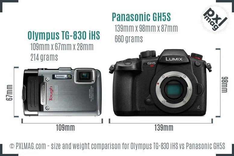 Olympus TG-830 iHS vs Panasonic GH5S size comparison