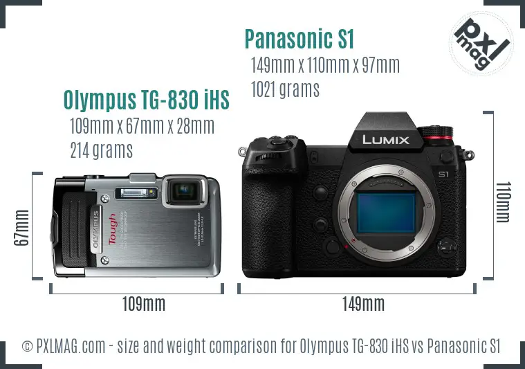 Olympus TG-830 iHS vs Panasonic S1 size comparison