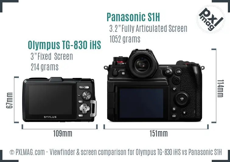 Olympus TG-830 iHS vs Panasonic S1H Screen and Viewfinder comparison