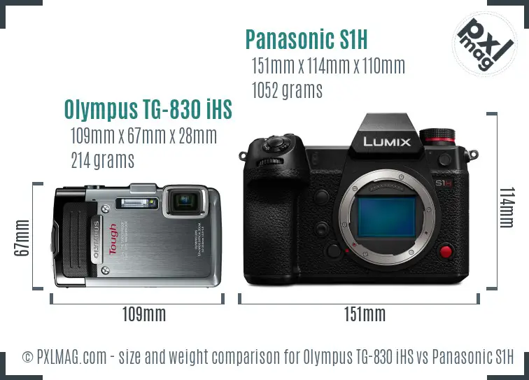 Olympus TG-830 iHS vs Panasonic S1H size comparison
