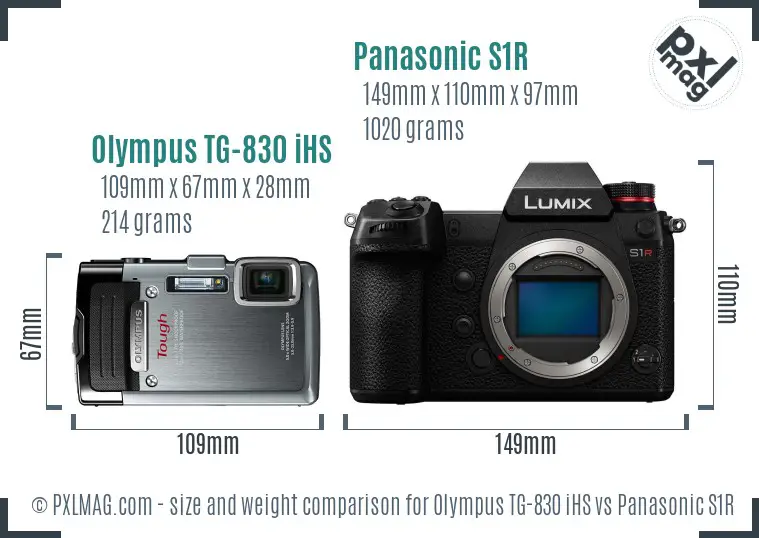 Olympus TG-830 iHS vs Panasonic S1R size comparison