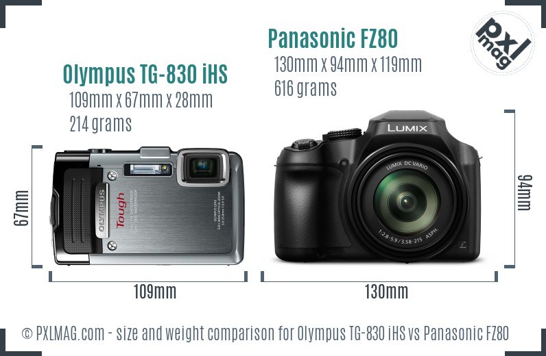 Olympus TG-830 iHS vs Panasonic FZ80 size comparison