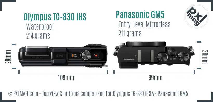 Olympus TG-830 iHS vs Panasonic GM5 top view buttons comparison