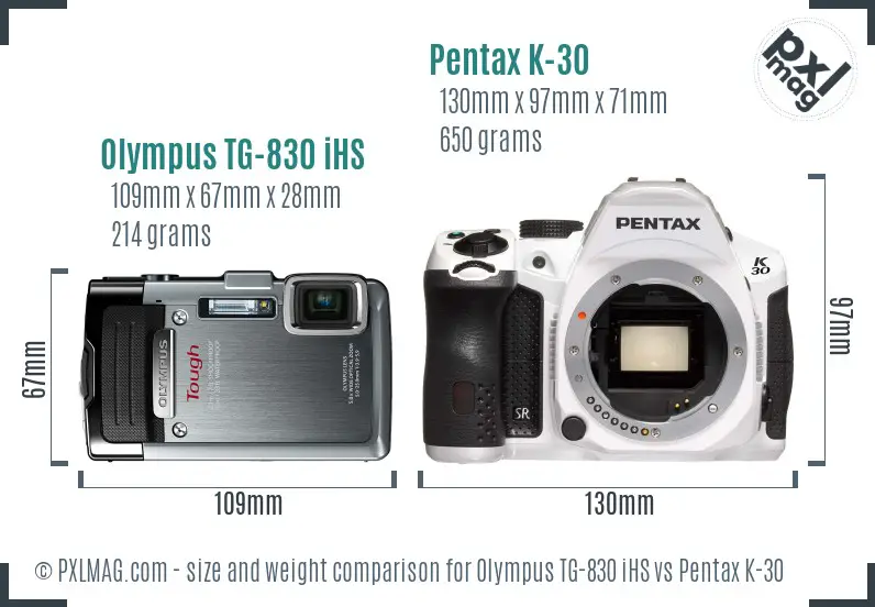 Olympus TG-830 iHS vs Pentax K-30 size comparison