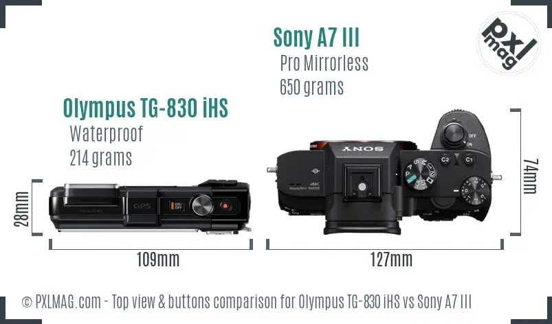 Olympus TG-830 iHS vs Sony A7 III top view buttons comparison