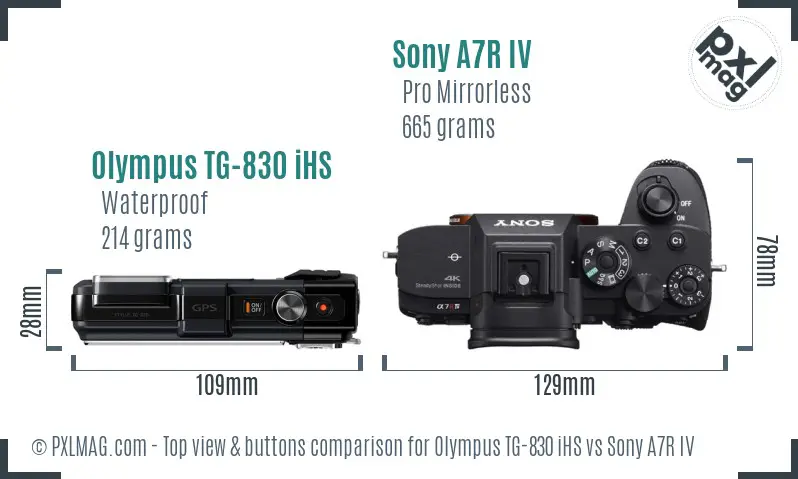 Olympus TG-830 iHS vs Sony A7R IV top view buttons comparison