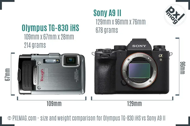 Olympus TG-830 iHS vs Sony A9 II size comparison
