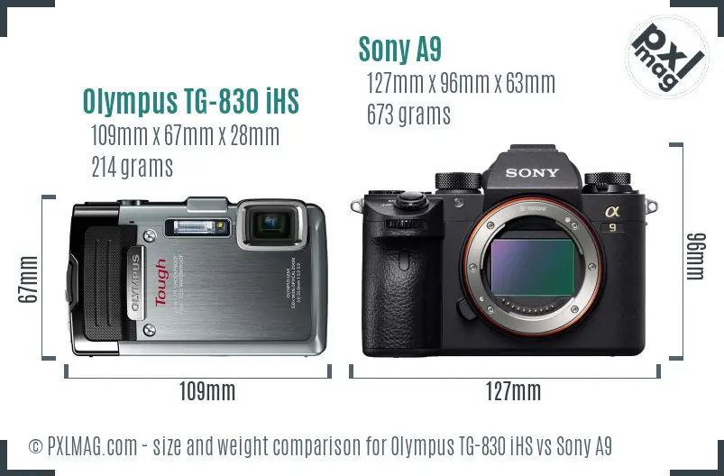 Olympus TG-830 iHS vs Sony A9 size comparison
