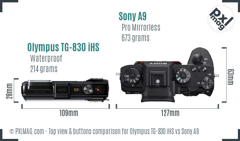 Olympus TG-830 iHS vs Sony A9 top view buttons comparison