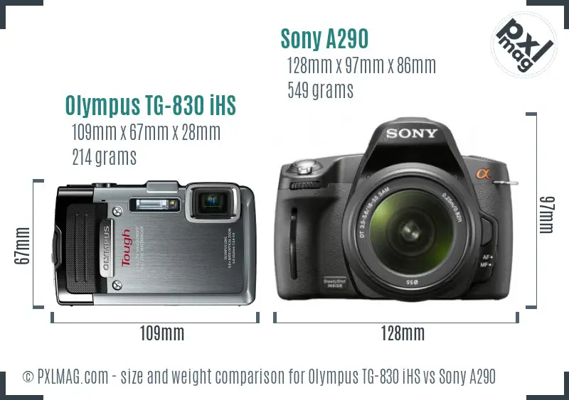 Olympus TG-830 iHS vs Sony A290 size comparison