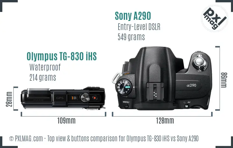 Olympus TG-830 iHS vs Sony A290 top view buttons comparison