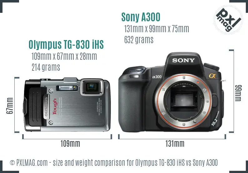 Olympus TG-830 iHS vs Sony A300 size comparison