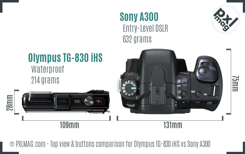 Olympus TG-830 iHS vs Sony A300 top view buttons comparison
