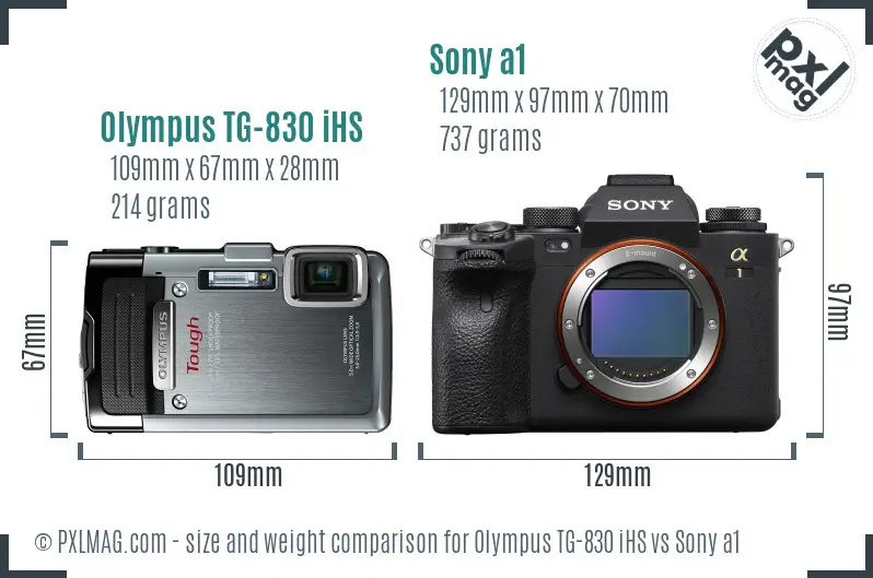 Olympus TG-830 iHS vs Sony a1 size comparison Olympus TG-830 iHS vs Sony a1 size comparison