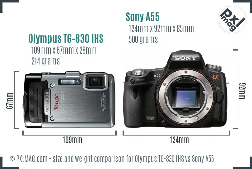 Olympus TG-830 iHS vs Sony A55 size comparison