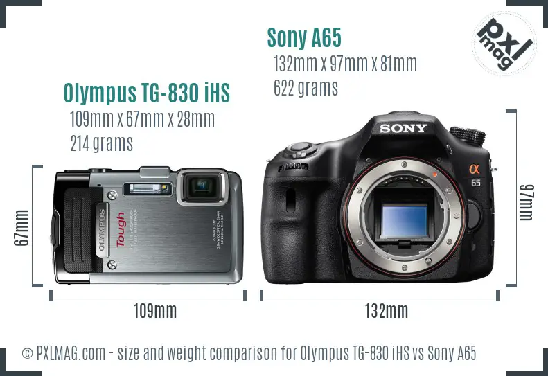 Olympus TG-830 iHS vs Sony A65 size comparison
