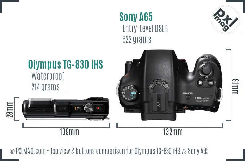 Olympus TG-830 iHS vs Sony A65 top view buttons comparison