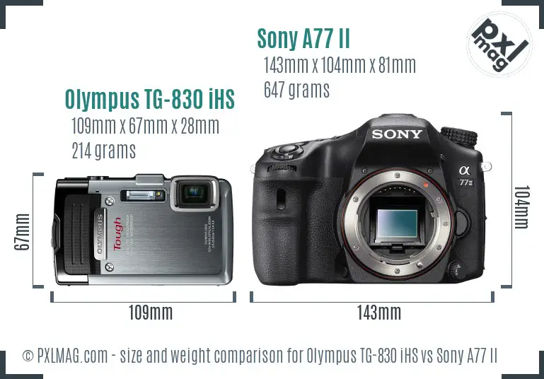 Olympus TG-830 iHS vs Sony A77 II size comparison