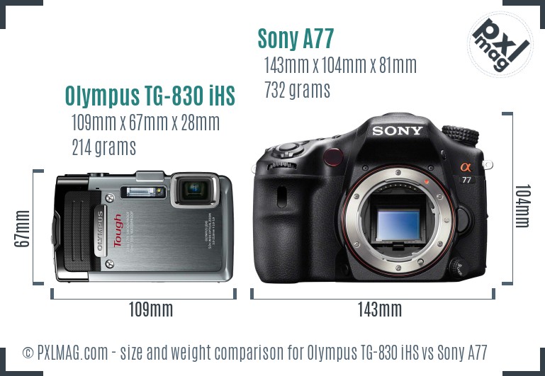 Olympus TG-830 iHS vs Sony A77 size comparison