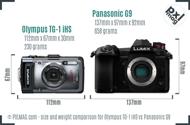 Olympus TG-1 iHS vs Panasonic G9 size comparison