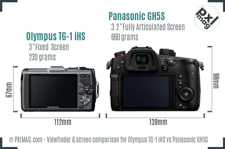 Olympus TG-1 iHS vs Panasonic GH5S Screen and Viewfinder comparison