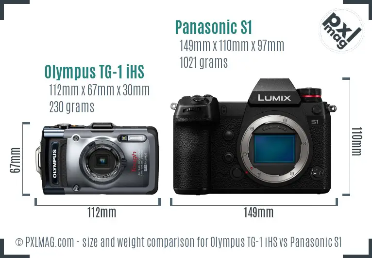 Olympus TG-1 iHS vs Panasonic S1 size comparison