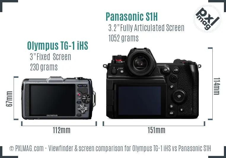 Olympus TG-1 iHS vs Panasonic S1H Screen and Viewfinder comparison