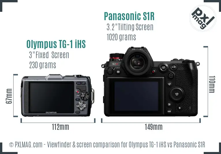 Olympus TG-1 iHS vs Panasonic S1R Screen and Viewfinder comparison
