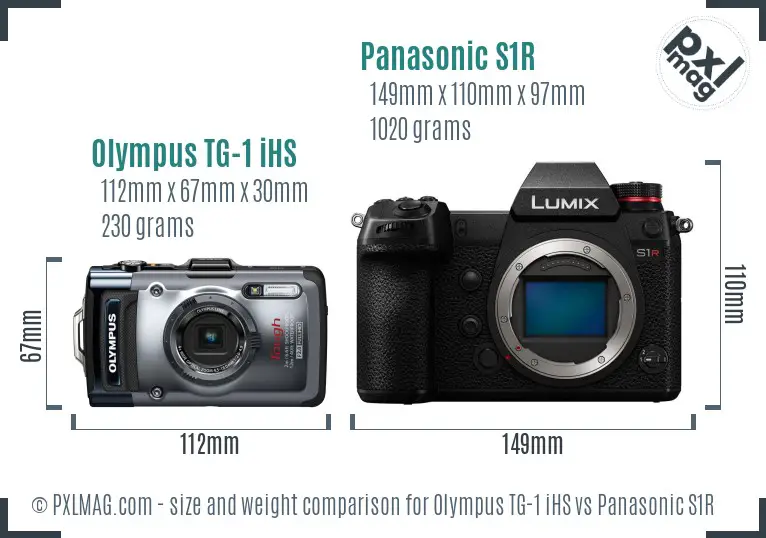 Olympus TG-1 iHS vs Panasonic S1R size comparison