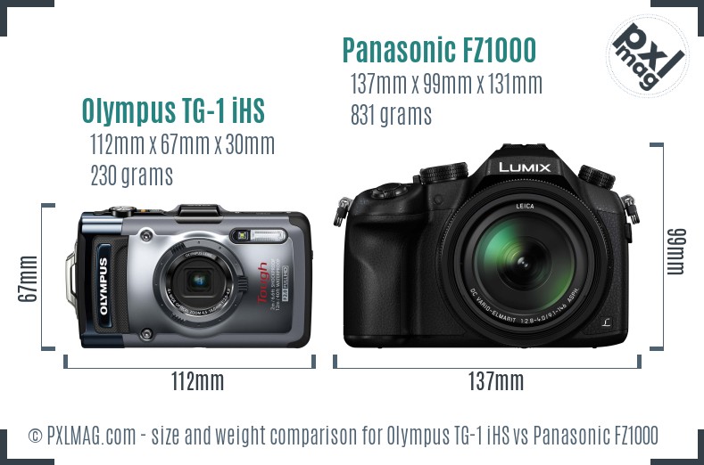 Olympus TG-1 iHS vs Panasonic FZ1000 size comparison