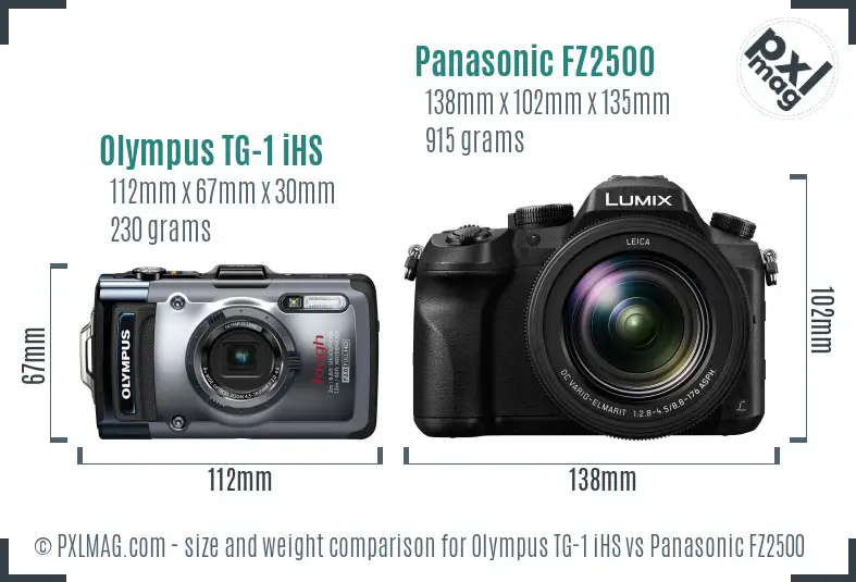 Olympus TG-1 iHS vs Panasonic FZ2500 size comparison