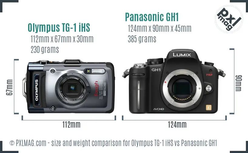 Olympus TG-1 iHS vs Panasonic GH1 size comparison