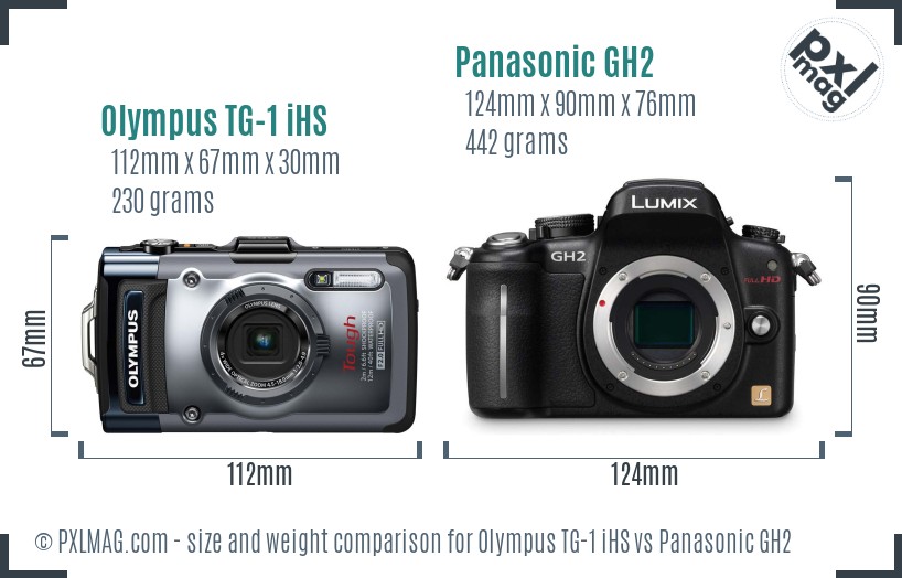 Olympus TG-1 iHS vs Panasonic GH2 size comparison